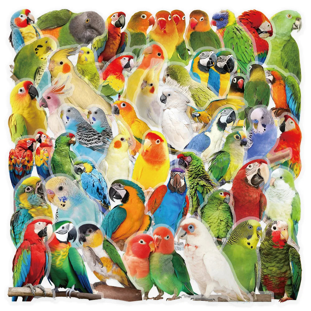 50-Pack Colorful Parrot Doodle PET Transparent Stickers Supplies Notebooks Luggage Waterproof Decorative Stickers