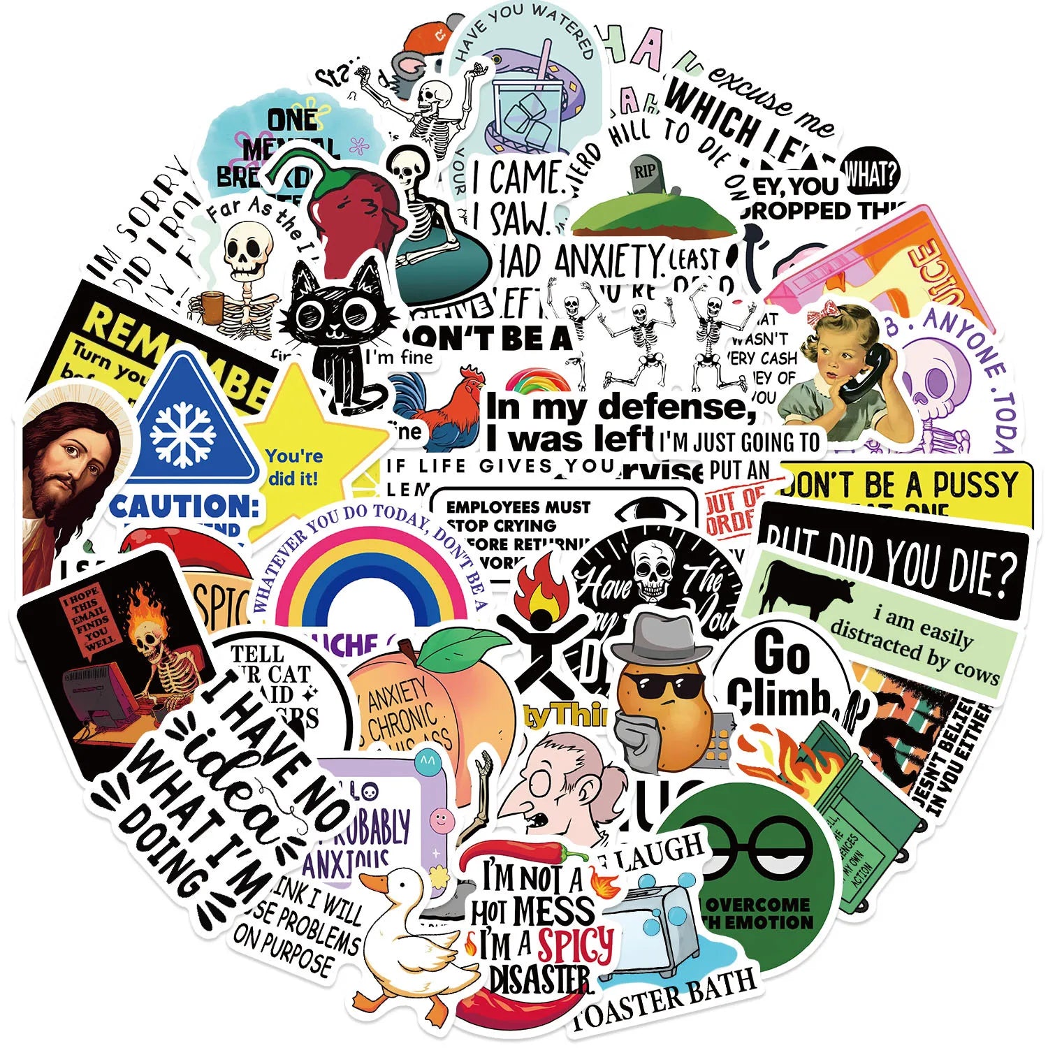 50PCS Funny Snarky Meme Stickers Cartoon Decals Decoration DIY Notebook Fridge Phone Bike Laptop Guitar Graffiti Stickers