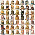 50/100PCS Cute Cartoon Headbands Cat Graffiti Stickers Guitar Notebook Luggage DIY Waterproof Stationery Stickers