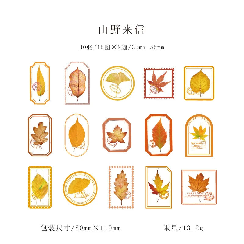 Mist Flower Series 30PCS PET Sticker Pack Light Retro Plant Frame DIY Decorative Stationery Notebook Stickers -6 Styles