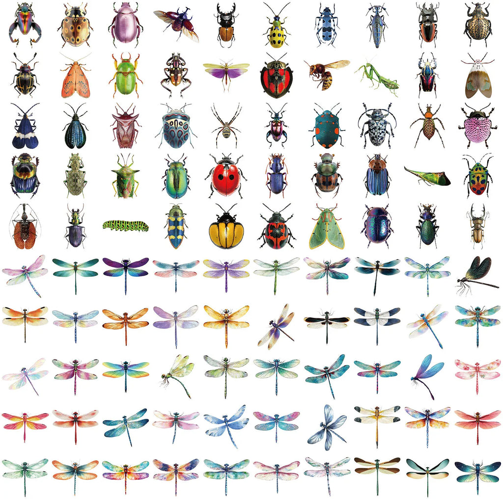 100PCS Colorful Cartoon Insect Dragonfly Stickers DIY Decoration Water Bottles Phone Children Notebook Transparent PET Sticker