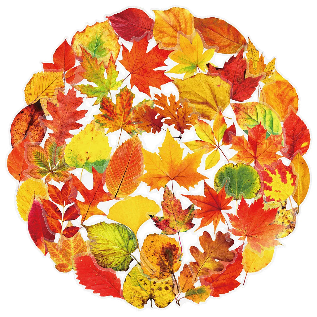 50PCS Plant Leafy Maple Leaf Stickers Transparent PET Waterproof DIY Stationary Notebook Personalized Ins Decor Stickers