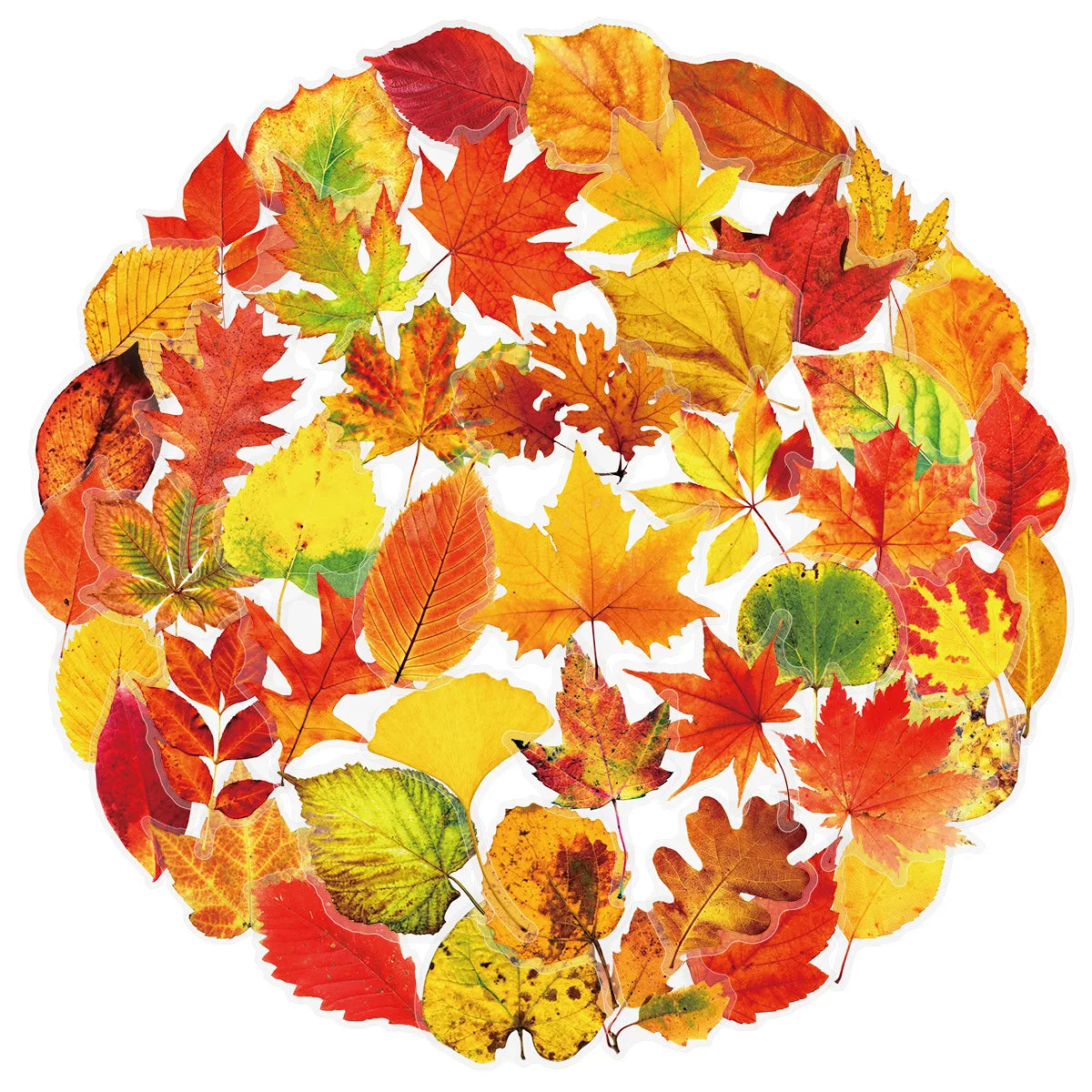 50PCS Plant Leafy Maple Leaf Stickers Transparent PET Waterproof DIY Stationary Notebook Personalized Ins Decor Stickers