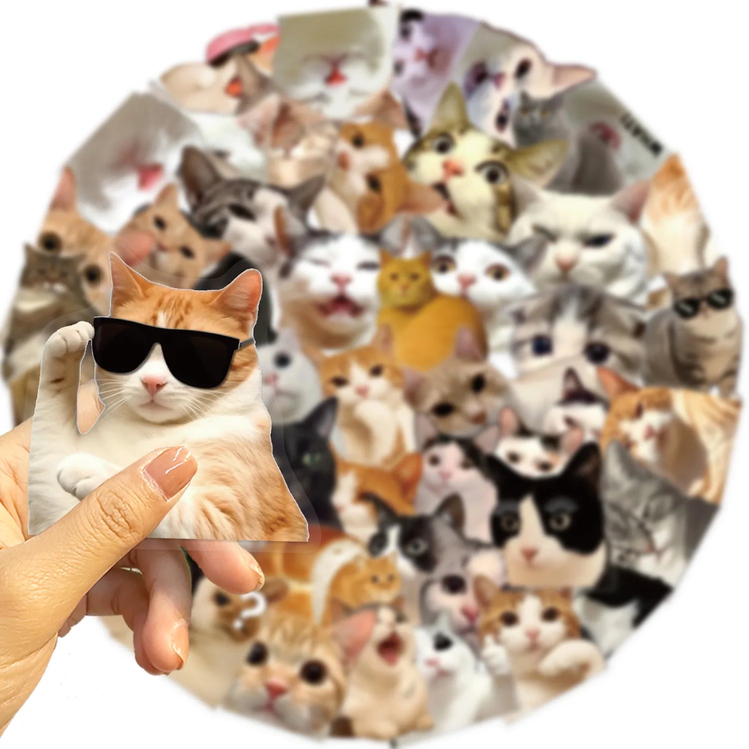50/100 Pcs Clear Cartoon HD Cat Waterproof Stickers DIY for Phone Scrapbook Suitcase Wall Helmet Headphone Decals