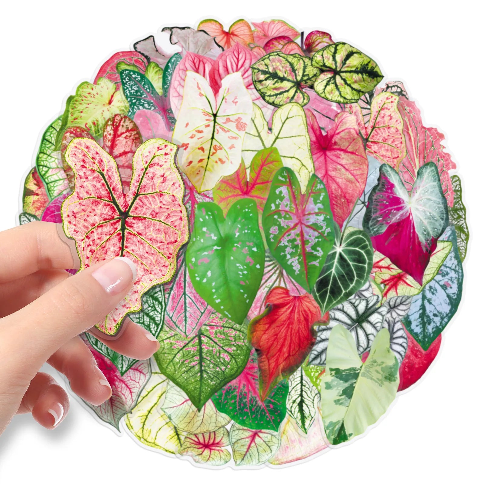50-Pack Colored Leaf Plant Clear PET Plastic Stickers for Phones Tablets Guitars Helmet Luggage Notebook DIY Decoration