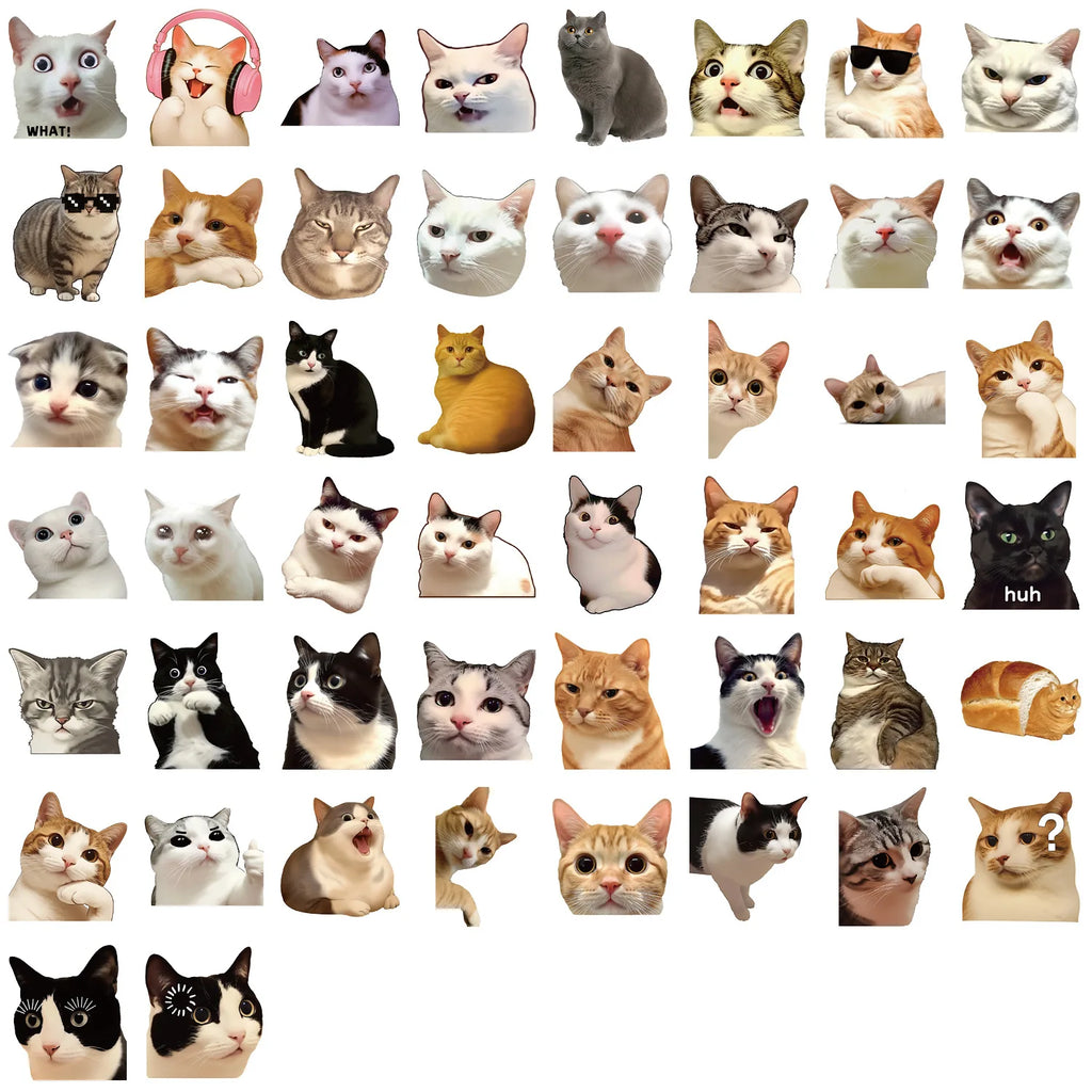 50/100 Pcs Clear Cartoon HD Cat Waterproof Stickers DIY for Phone Scrapbook Suitcase Wall Helmet Headphone Decals