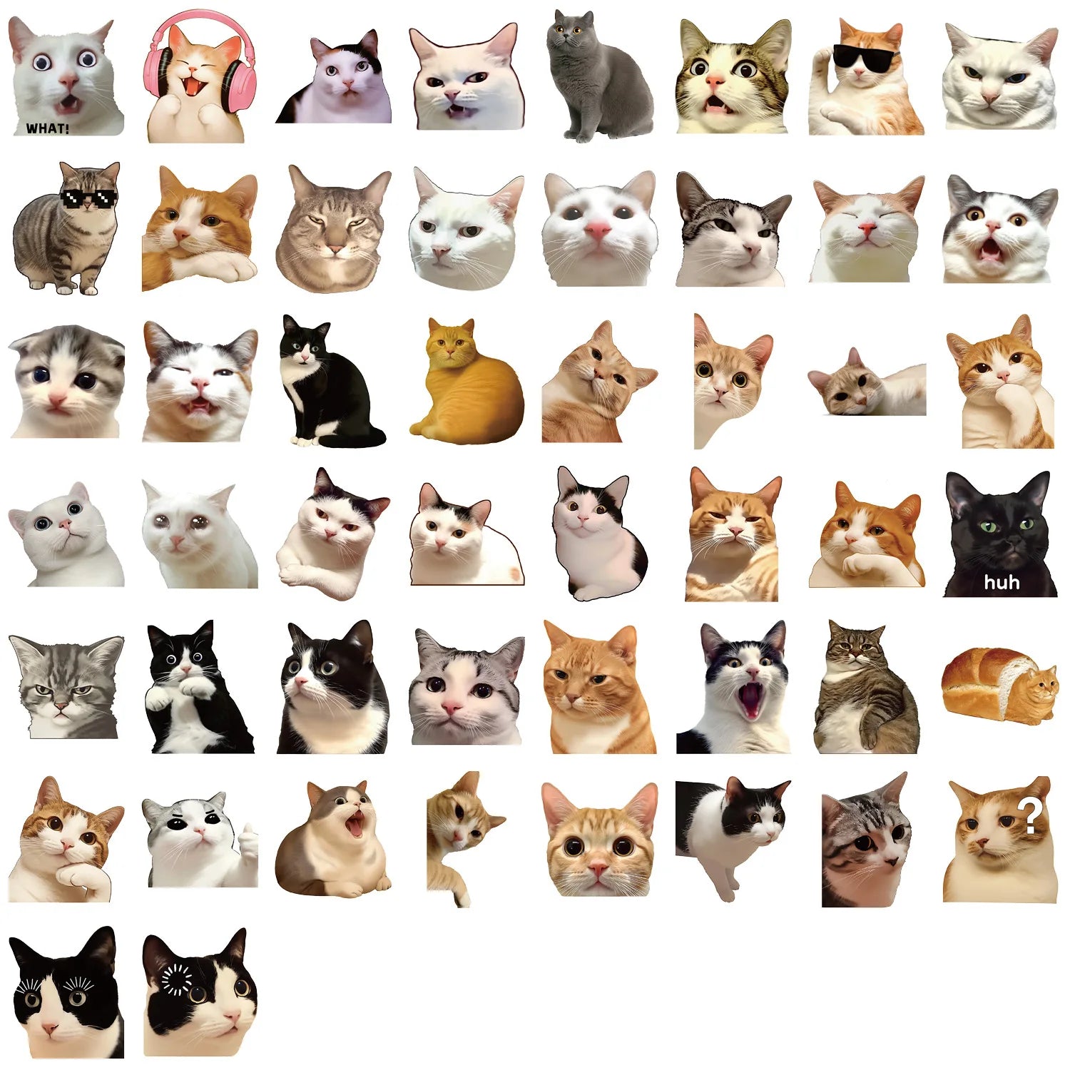 50/100 Pcs Clear Cartoon HD Cat Waterproof Stickers DIY for Phone Scrapbook Suitcase Wall Helmet Headphone Decals