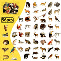 56/112 Pcs Realistic Forest Animal PET Stickers Waterproof No Repeat for Stationery Box Fridge Helmet Car Vase Decoration