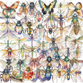 50pcs Cute Cartoon Insect Beetle Stickers PET for Toy DIY Luggage Laptop Guitar Skateboard Phone Case Bike Car Sticker