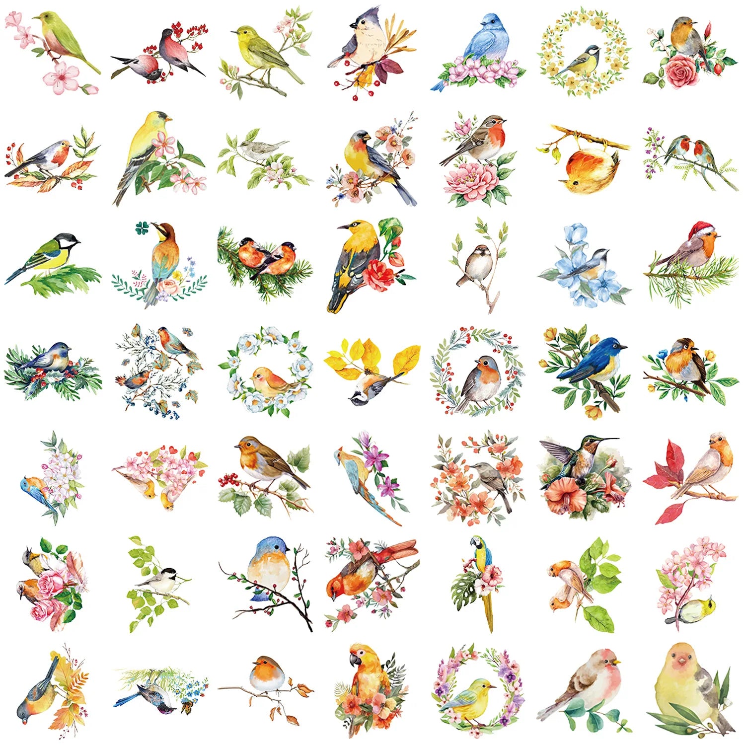 50Pcs Transparent Watercolor Bird Sticker Waterproof Transparent PET Decor Guitar Notebook Stationary Stickers