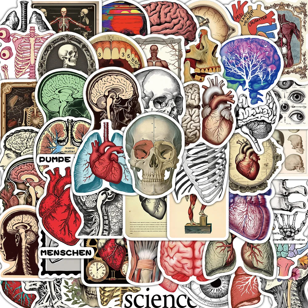 50PCS Retro Scientific Anatomy Sticker Physiology Anatomy Luggage Laptop Cars PVC Guitar Coffee Skateboard Notebook Decals