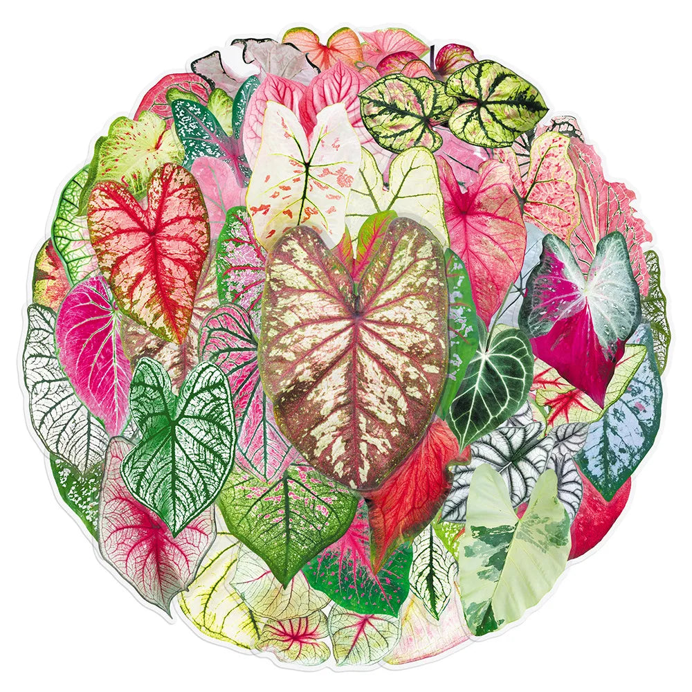 50/100PCS Colored Leaf Taro Transparent PET Stickers Colored Leaf Plant Handbag  DIY Decorative Waterproof Stickers
