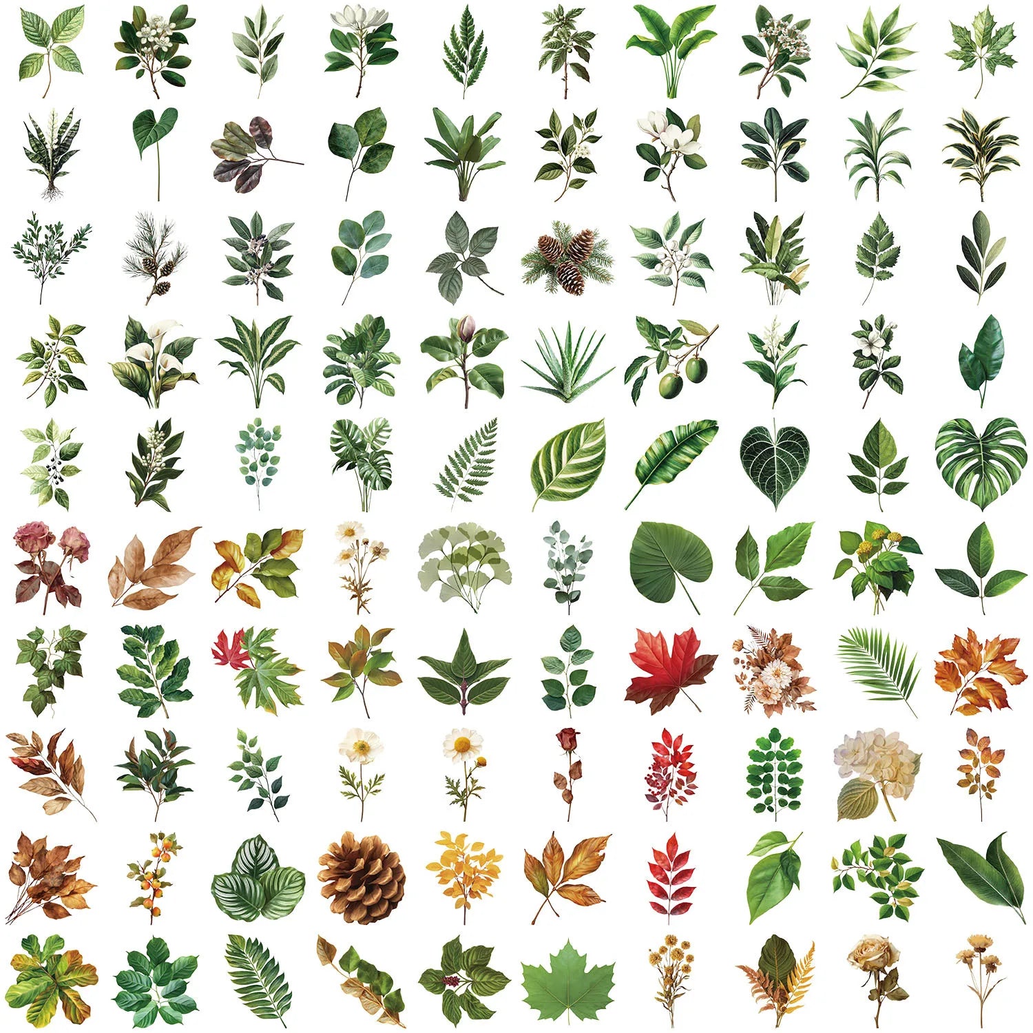 100PCS Green Plant Leaf Stickers Green Plant DIY Decor Phone Guitar Stationery Box Notebook Pen Holder Transparent PET Stickers