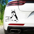 Lazy Husky Dog Car Stickers For Laptop Water Bottle Car Truck Van SUV Motorcycle Vehicle Paint Window Wall Cup Toolbox Guitar Sc