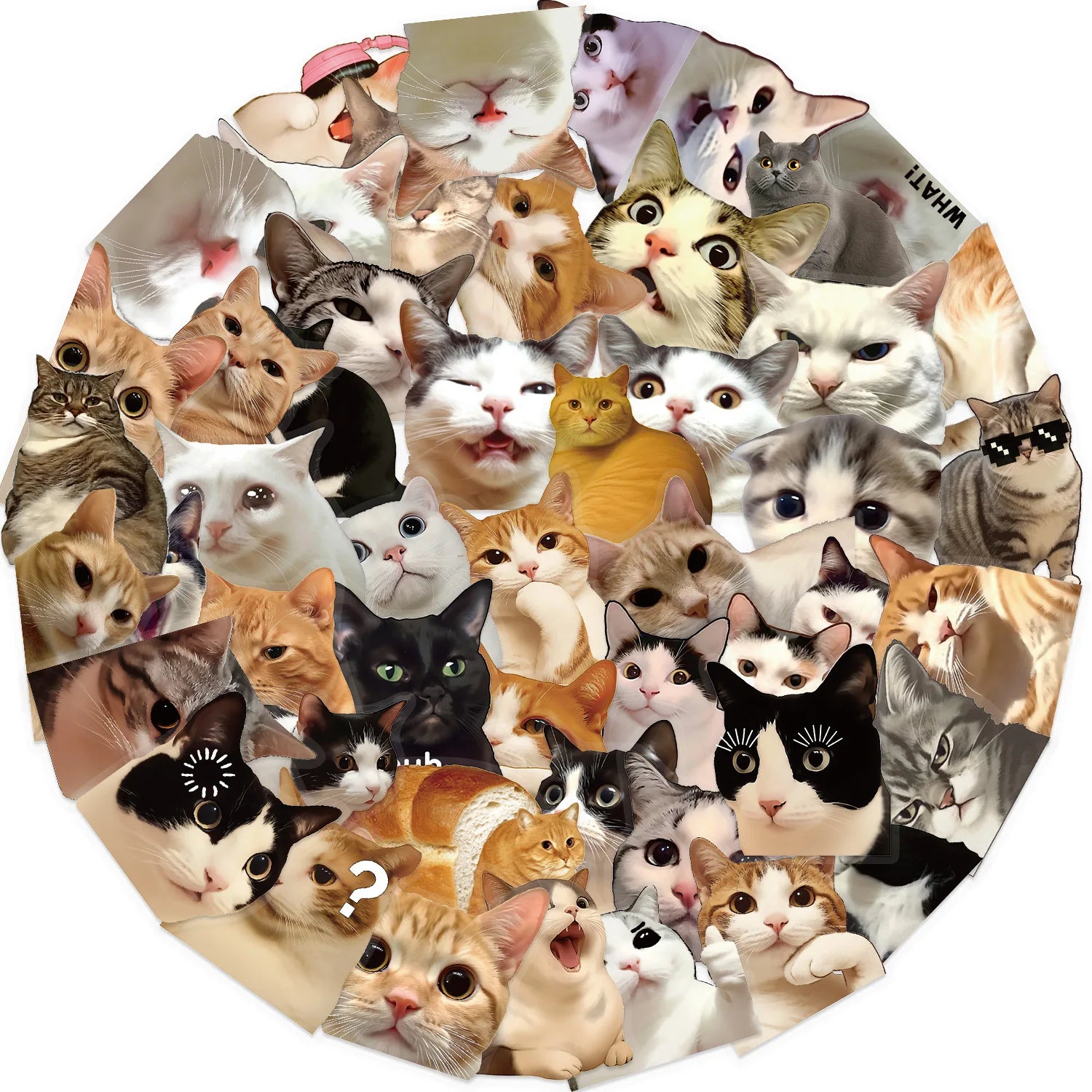 50Pcs Cartoon Vintage Cute Cat Sticker Pack, Waterproof Transparent PET Stationery Journal Guitar Notebook Decor Decals Stickers