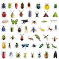 50/100PCS Transparent PET Animal Stationery Stickers Cartoon Creative Insect Pattern DIY Notebook Reward Stickers