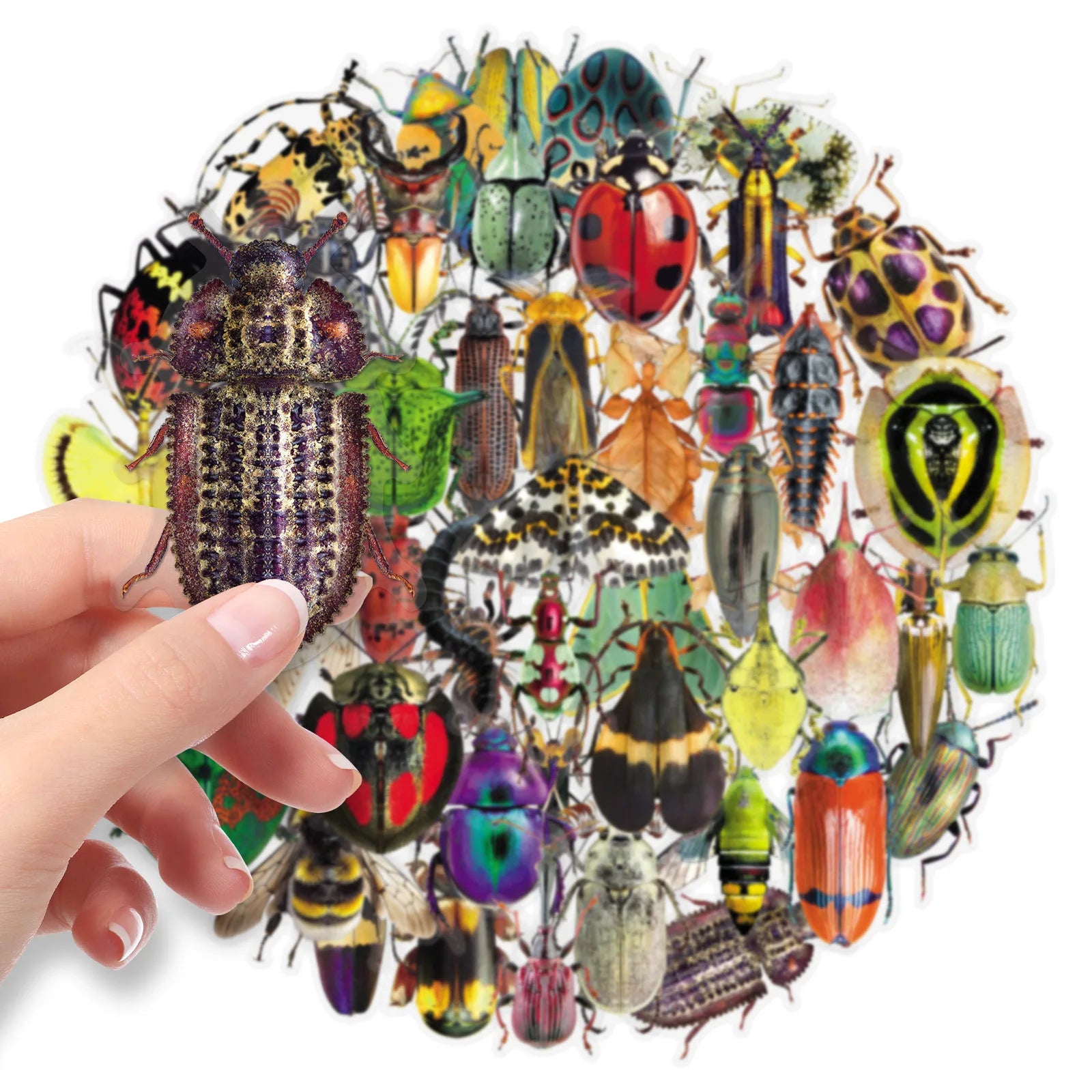50PCS Insect Transparent Stickers, Cartoon Animal Unique Waterproof PET Student Stationery Notebook Journal DIY Art Stickers