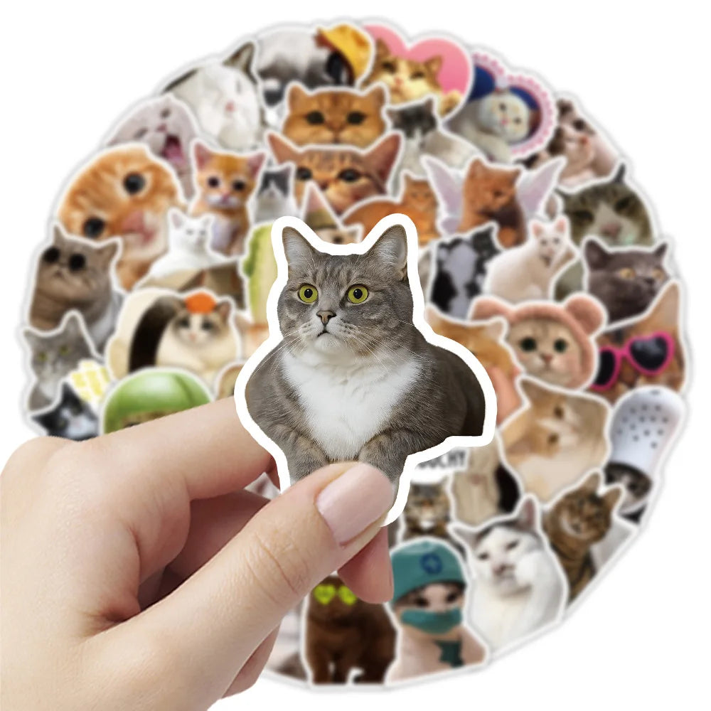 50/100PCS Funny Cat Stickers Cute Animal Decoration Computers Mobile Phone Rewards Stationery Notebook Stickers