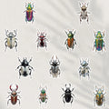 50PCS Beetle Stickers Motorcycle Laptop Luggage Art Picture Notebook Phone Graffiti Car Waterproof Home Decoration Stickers