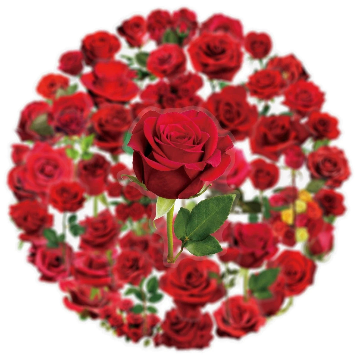 50PCS Transparent PET Red Rose Stickers Handheld Account Phone Stationery Box Gift Box Wedding Decoration PET Waterproof Sticker
