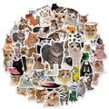 50PCS Creative Network Popular Cat Model Collection Handmade Account DIY Graffiti Manual Notebook Mobile Tablet Sticker Toy