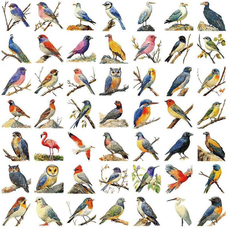 10/30/50PCS Kawaii Colored Bird PVC Sticky Sticker Aesthetic Children's Stationery DIY Decoration Scrapbooking School Supplies