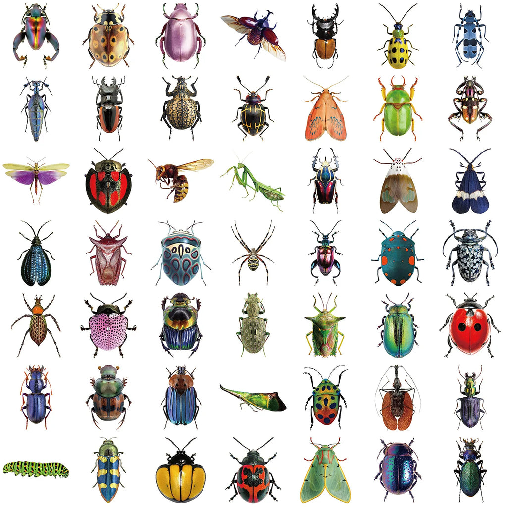 50pcs Cartoon Cute Cartoon Insect Beetle Stickers PET for Toy DIY Luggage Laptop Guitar Skateboard Phone Case Bike Car Sticker