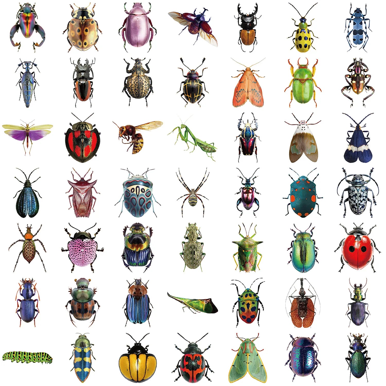 50pcs Cartoon Cute Cartoon Insect Beetle Stickers PET for Toy DIY Luggage Laptop Guitar Skateboard Phone Case Bike Car Sticker