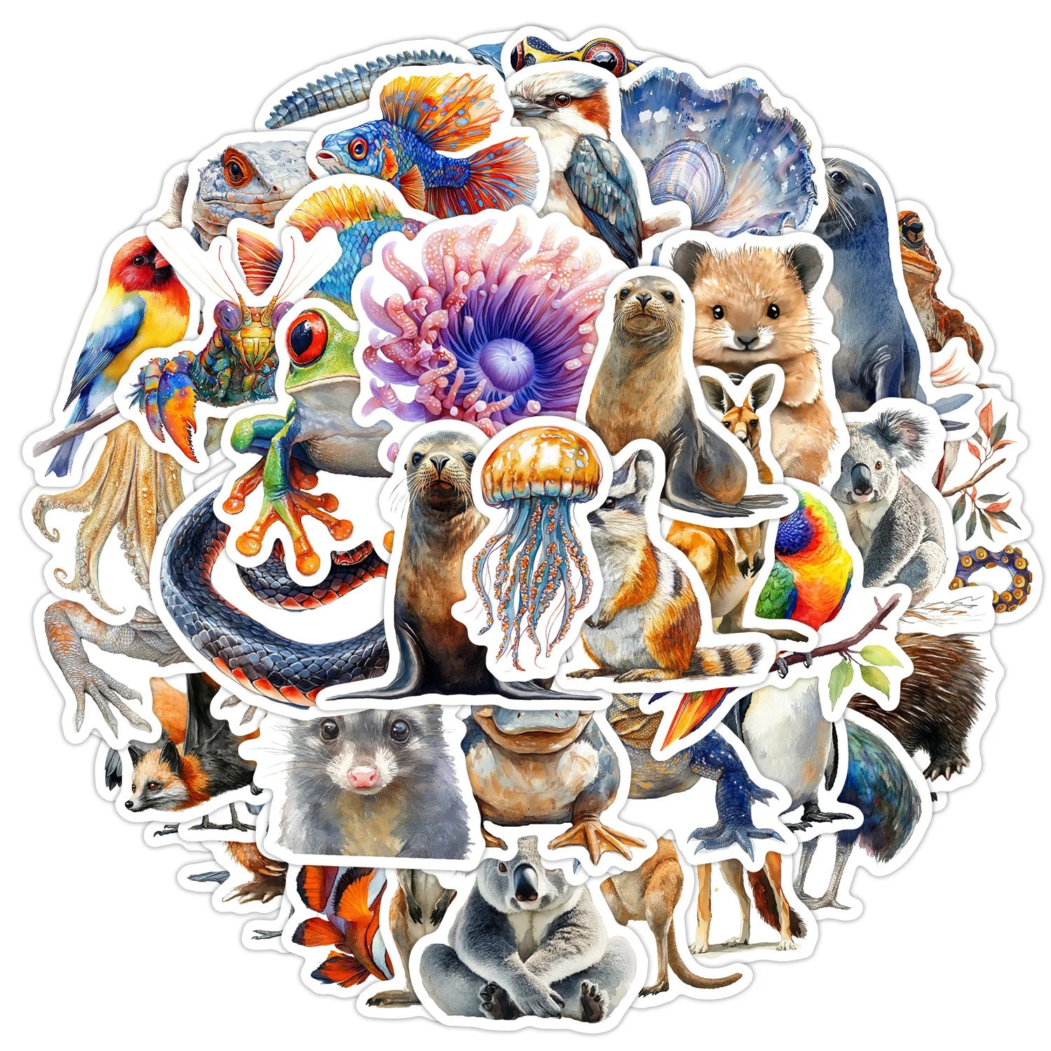 50Pcs Pack Australian Animal Doodle Stickers, School Supplies Decor Decals Notebook Phone Luggage Fridge Kids Stationery Sticker
