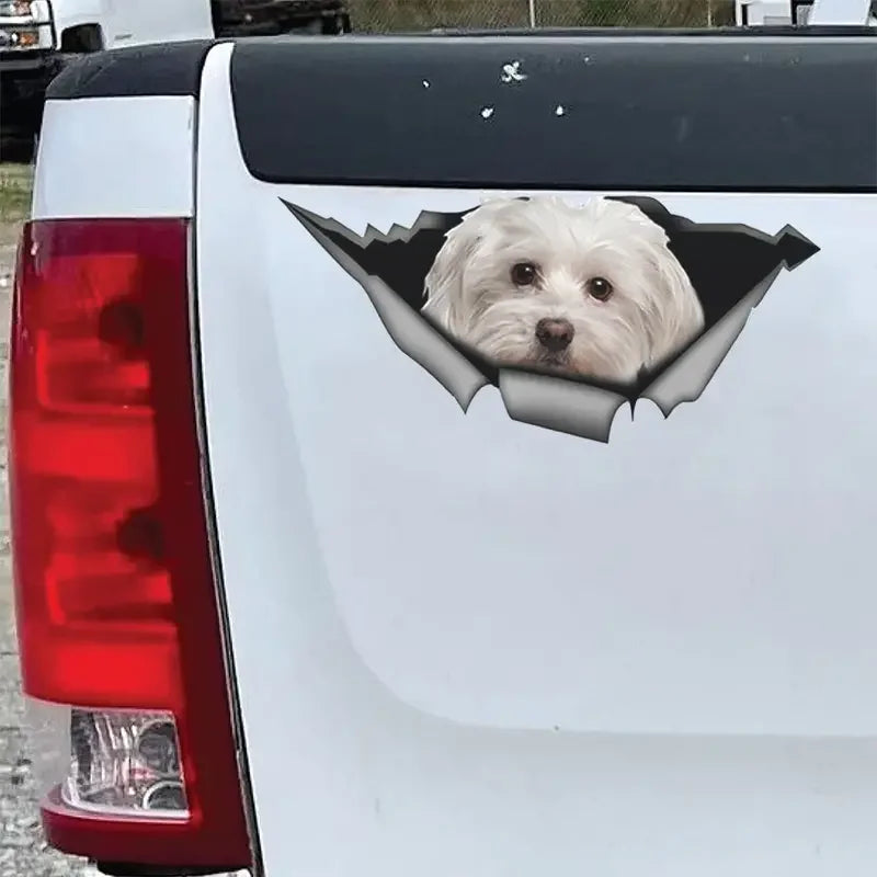 Cute Maltese Car Sticker Pet Dog Car Decoration Decal Reflective Sticker Waterproof Car Decal