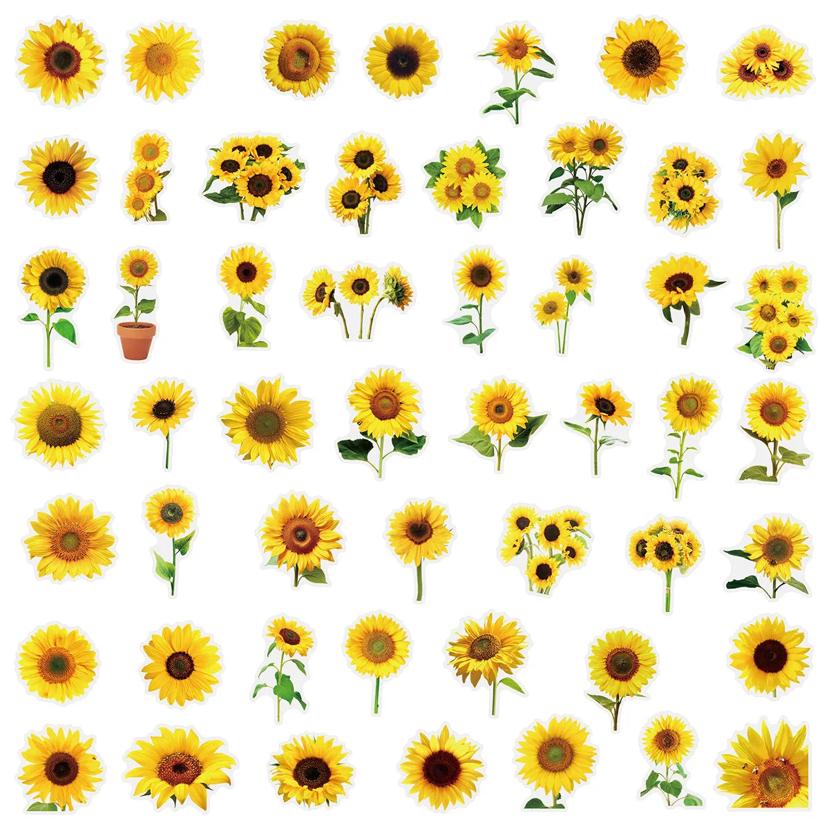50PCS Transparent Daisy/Sunflower Stickers Decorative Guitar Notebook Waterproof PET Notebook Stationery Box Flower Stickers