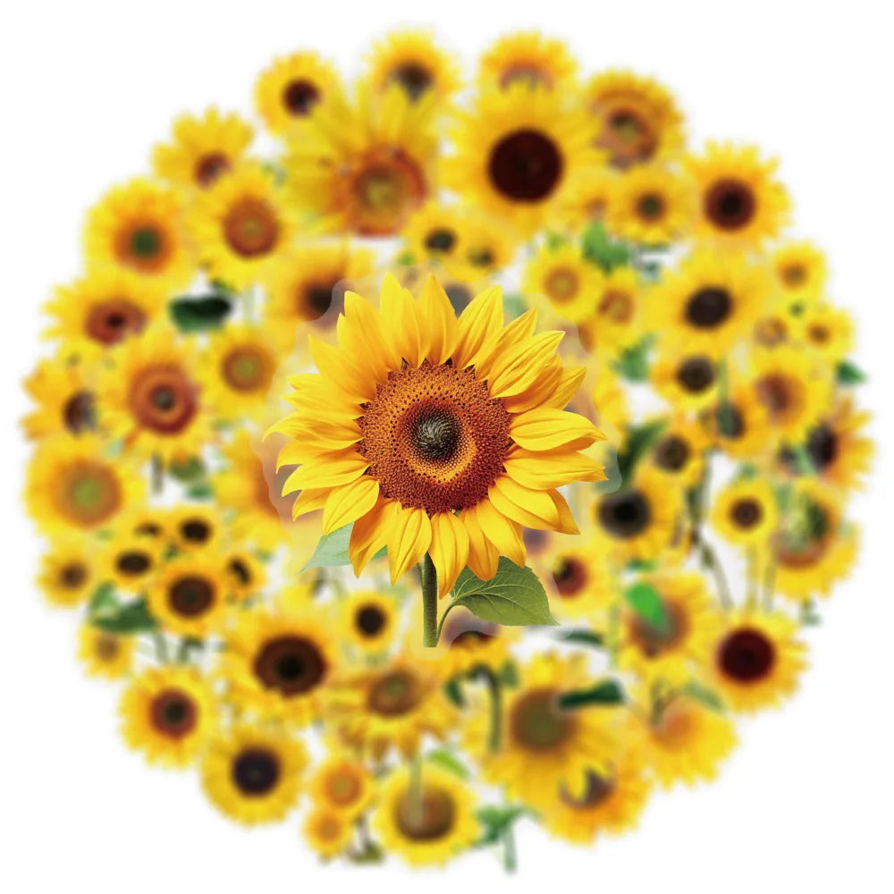 50PCS Transparent Daisy/Sunflower Stickers Decorative Guitar Notebook Waterproof PET Notebook Stationery Box Flower Stickers