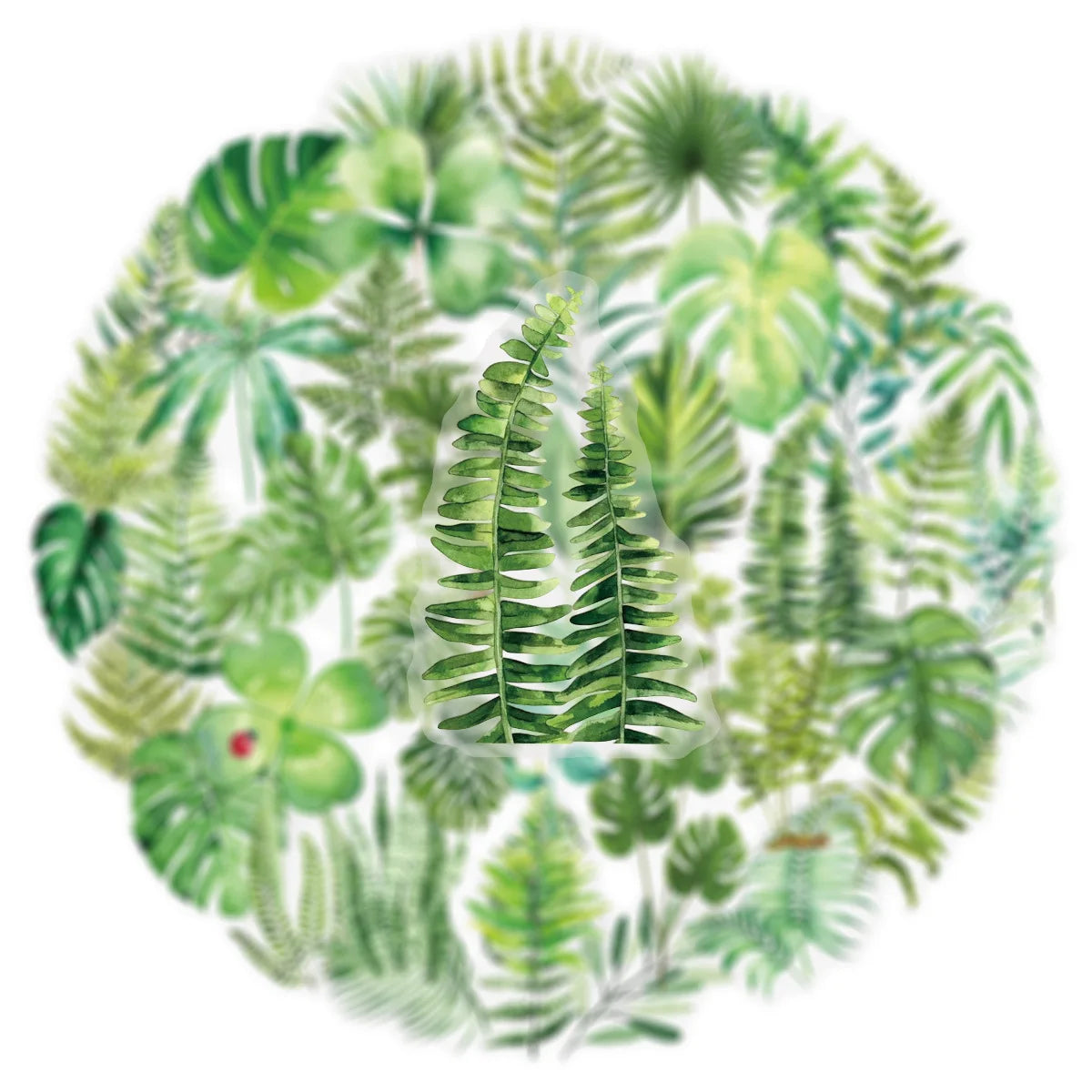50/100PCS Transparent PET Green Leaf/Flower Plant Stickers Notebook Tablet Phone Water Cup Decorative Stationery Stickers