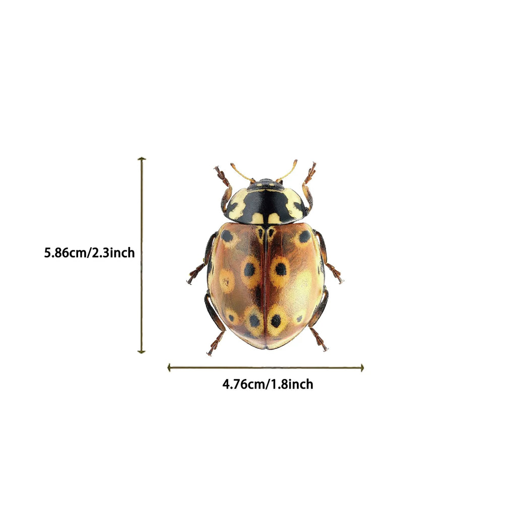 50pcs Cartoon Cute Cartoon Insect Beetle Stickers PET for Toy DIY Luggage Laptop Guitar Skateboard Phone Case Bike Car Sticker