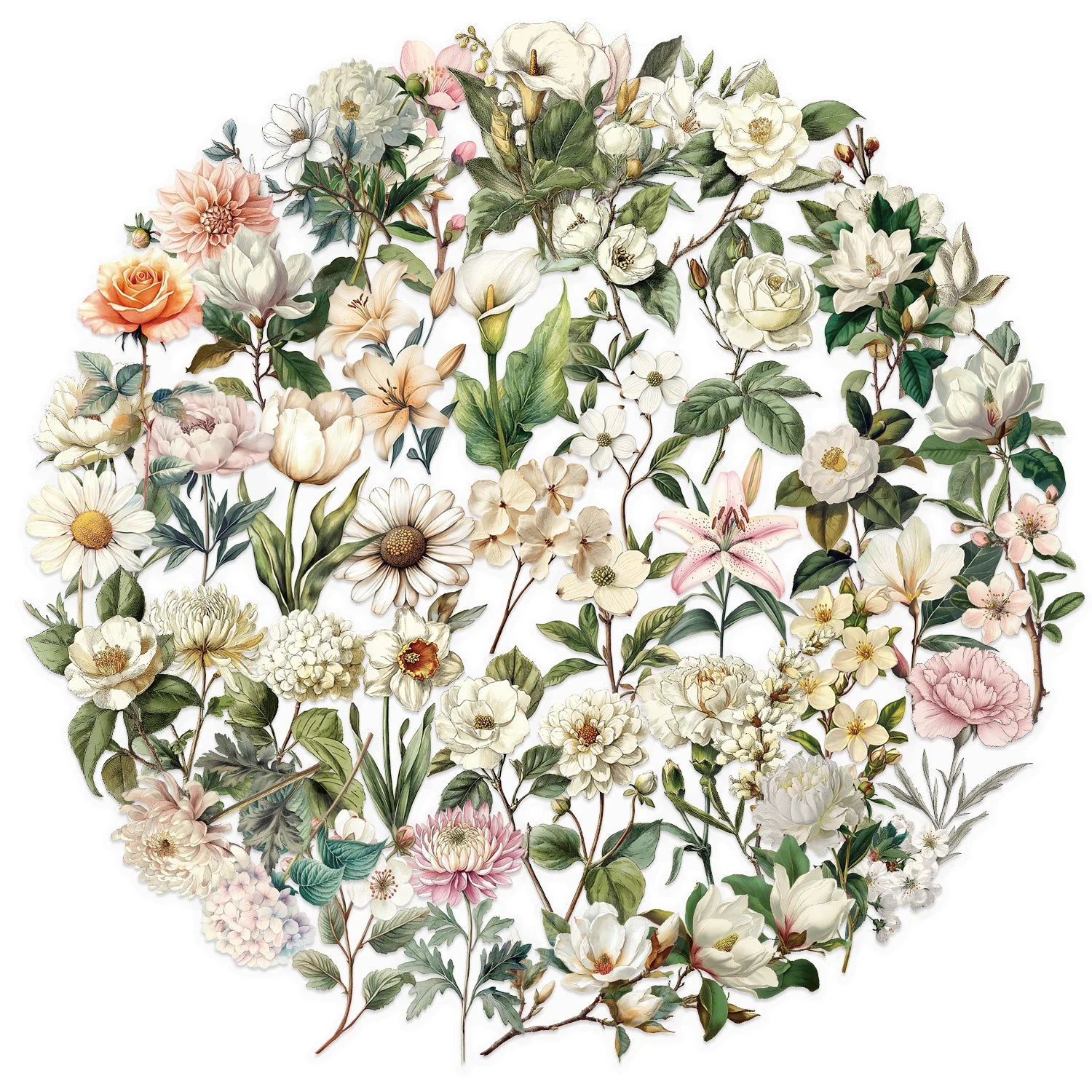 50/100PCS Transparent Retro Long Branch Flower Sticker Pack Waterproof Transparent PET Decorative Guitar Notebook Stickers