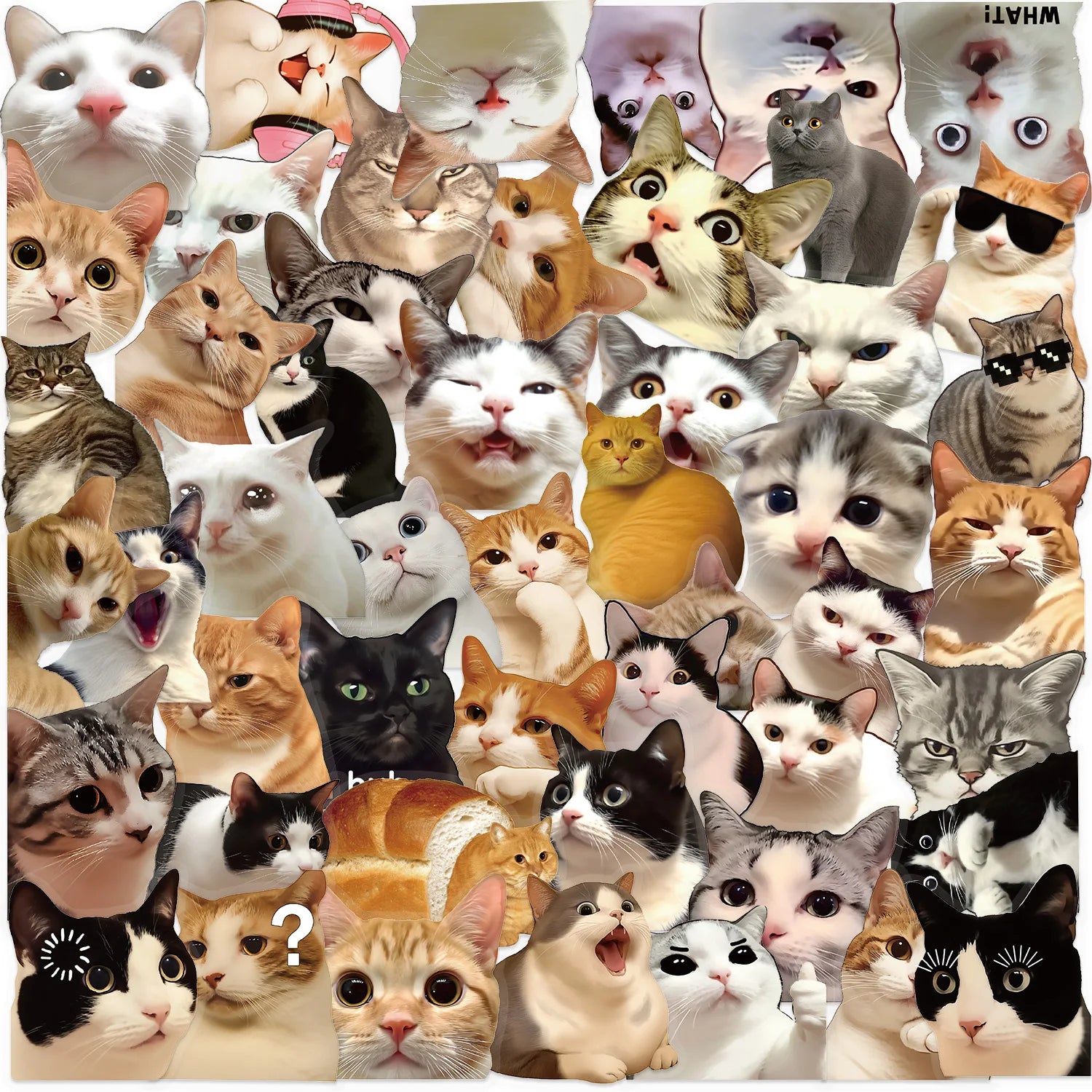 50Pcs Cartoon Vintage Cute Cat Sticker Pack, Waterproof Transparent PET Stationery Journal Guitar Notebook Decor Decals Stickers