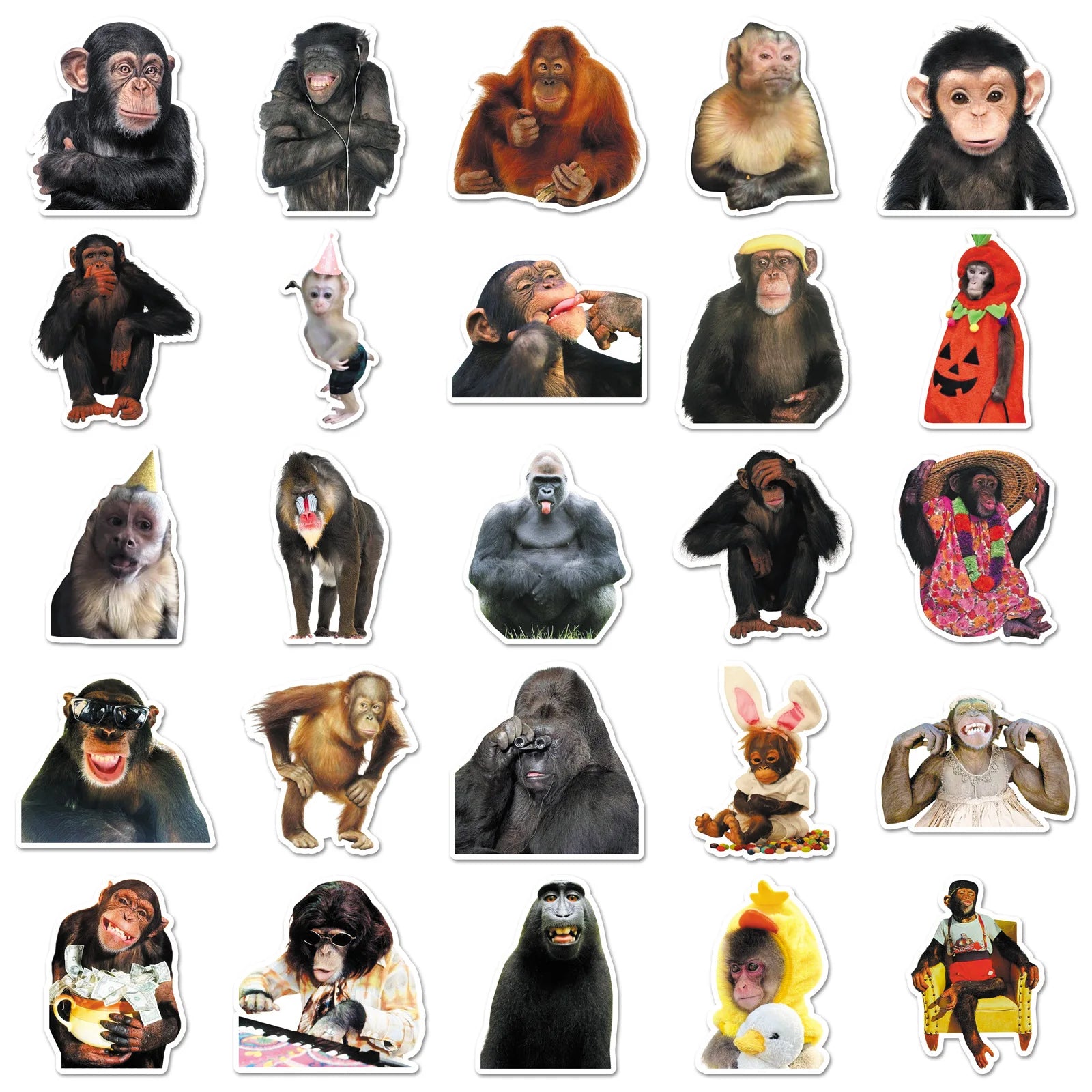 50Pcs Crazy Funny Monkey & Orangutan Doodle Stickers Waterproof Decals for Stationery Notebook Helmet Motorcycle Suitcase Fridge