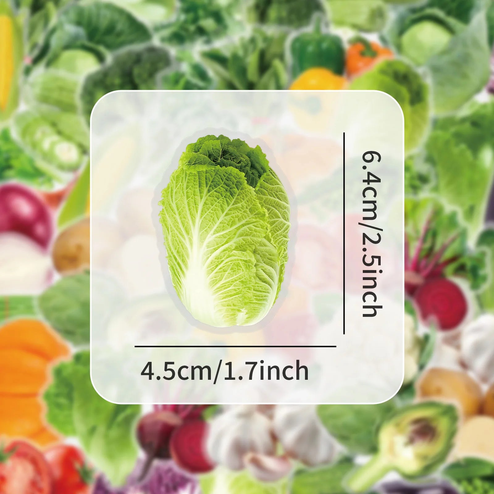 50Pcs Vegetable Graffiti Stickers Green Vegetable Lettuce Tecor Transparent PET Children Stationery Reward Stickers