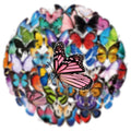 50PCS Cartoon Colorful Butterfly Stickers Pack Waterproof Transparent PET Decorative Guitar Notebook Stickers