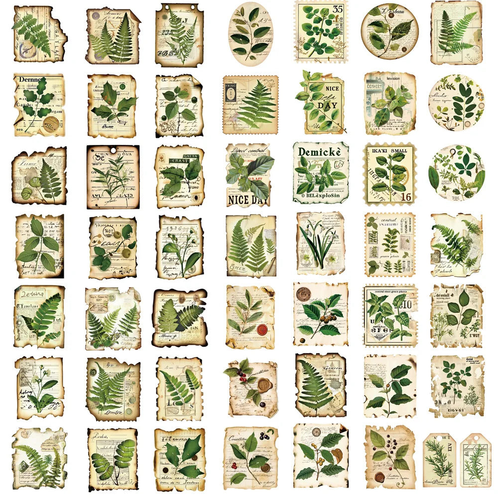 50PCS Fragmentation Of Botanical Garden Labels Stickers Notebook Coffee Skateboard Phone  PVC Creative Fun for Sticker ﻿