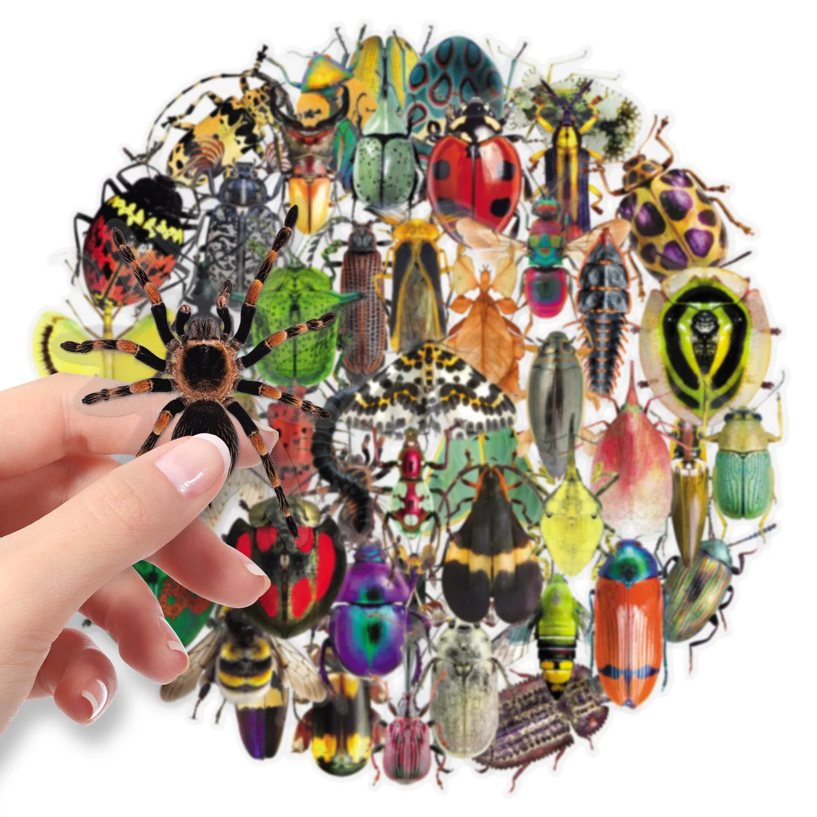 50PCS Insect Transparent Stickers, Cartoon Animal Unique Waterproof PET Student Stationery Notebook Journal DIY Art Stickers