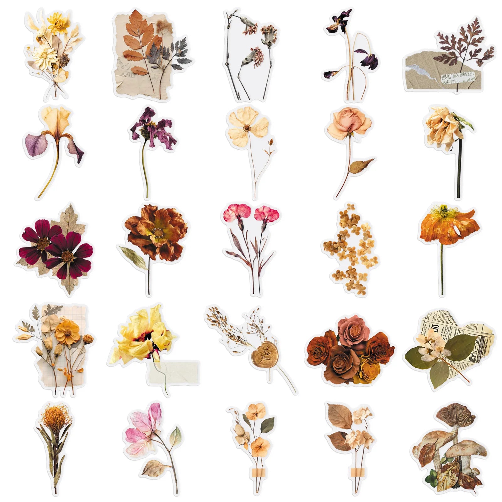 50/100PCS Cartoon Plant Transparent Stickers Forest Flower Specimen Realistic Flower Tent Decoration PET Waterproof Stickers
