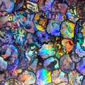 50PCS Cartoon Holographic  Laser Creative Biology Graffiti Stickers Decorative Guitar Notebook Luggage DIY Waterproof Stickers
