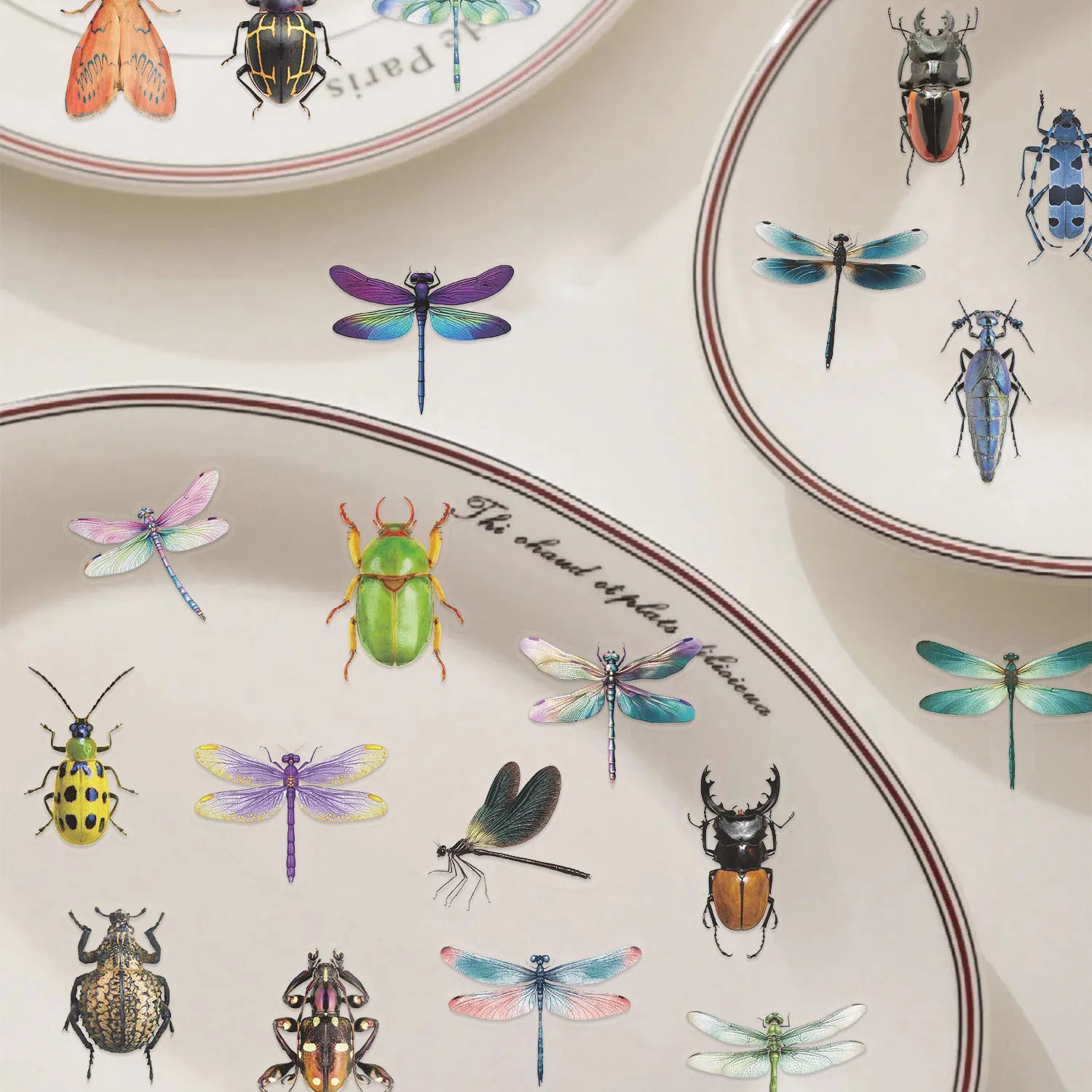 100PCS Colorful Cartoon Insect Dragonfly Stickers DIY Decoration Water Bottles Phone Children Notebook Transparent PET Sticker
