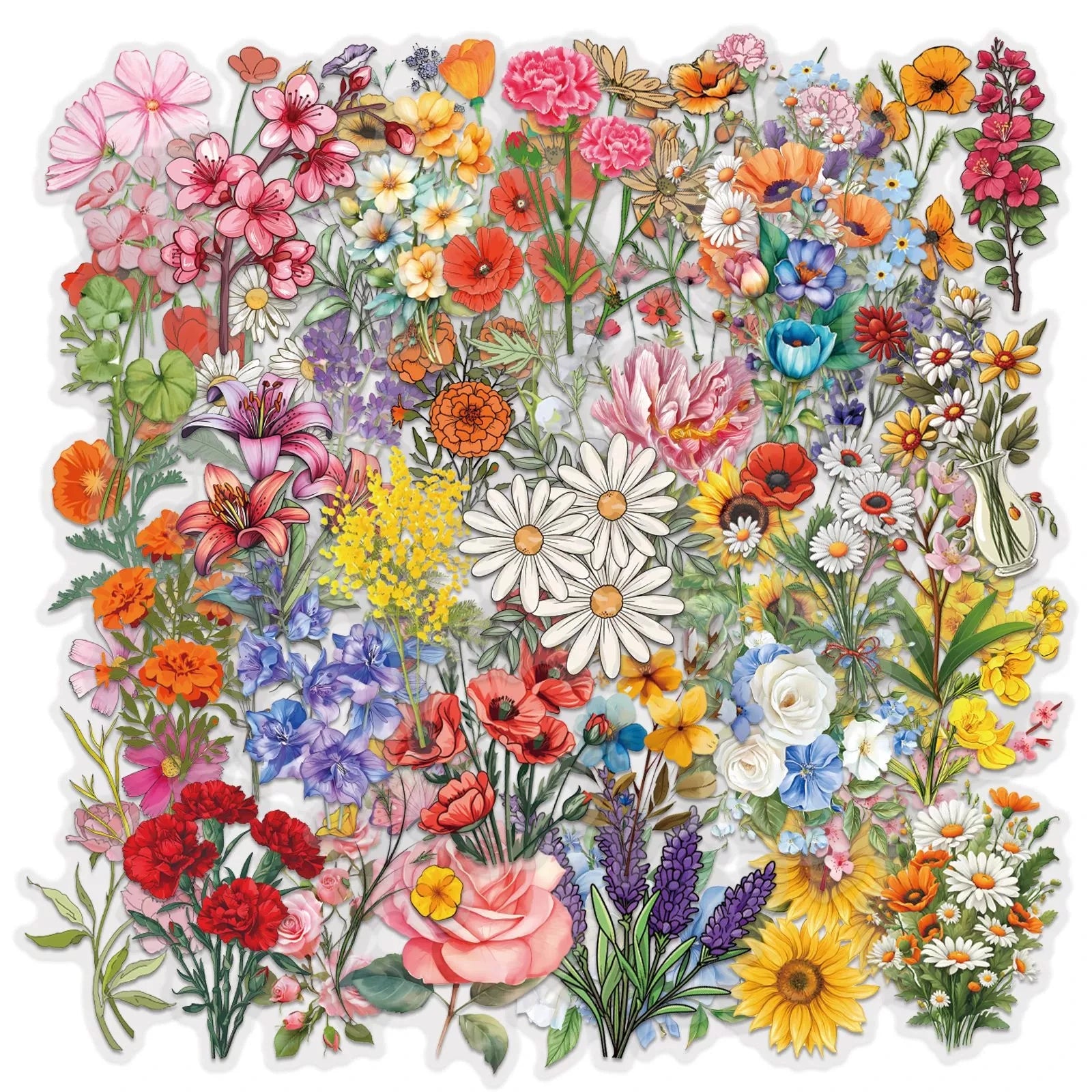Variety 60PCS Waterproof Transparent PET Butterfly Flower Shell Cartoon Graffiti Stickers DIY Decor Guitar Notebook Stationery