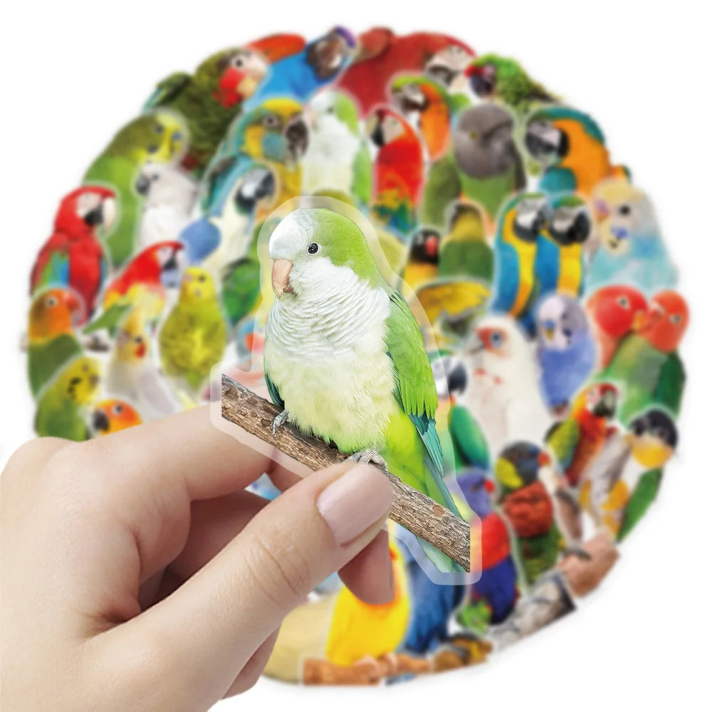 50-Pack Colorful Parrot Doodle PET Transparent Stickers Supplies Notebooks Luggage Waterproof Decorative Stickers