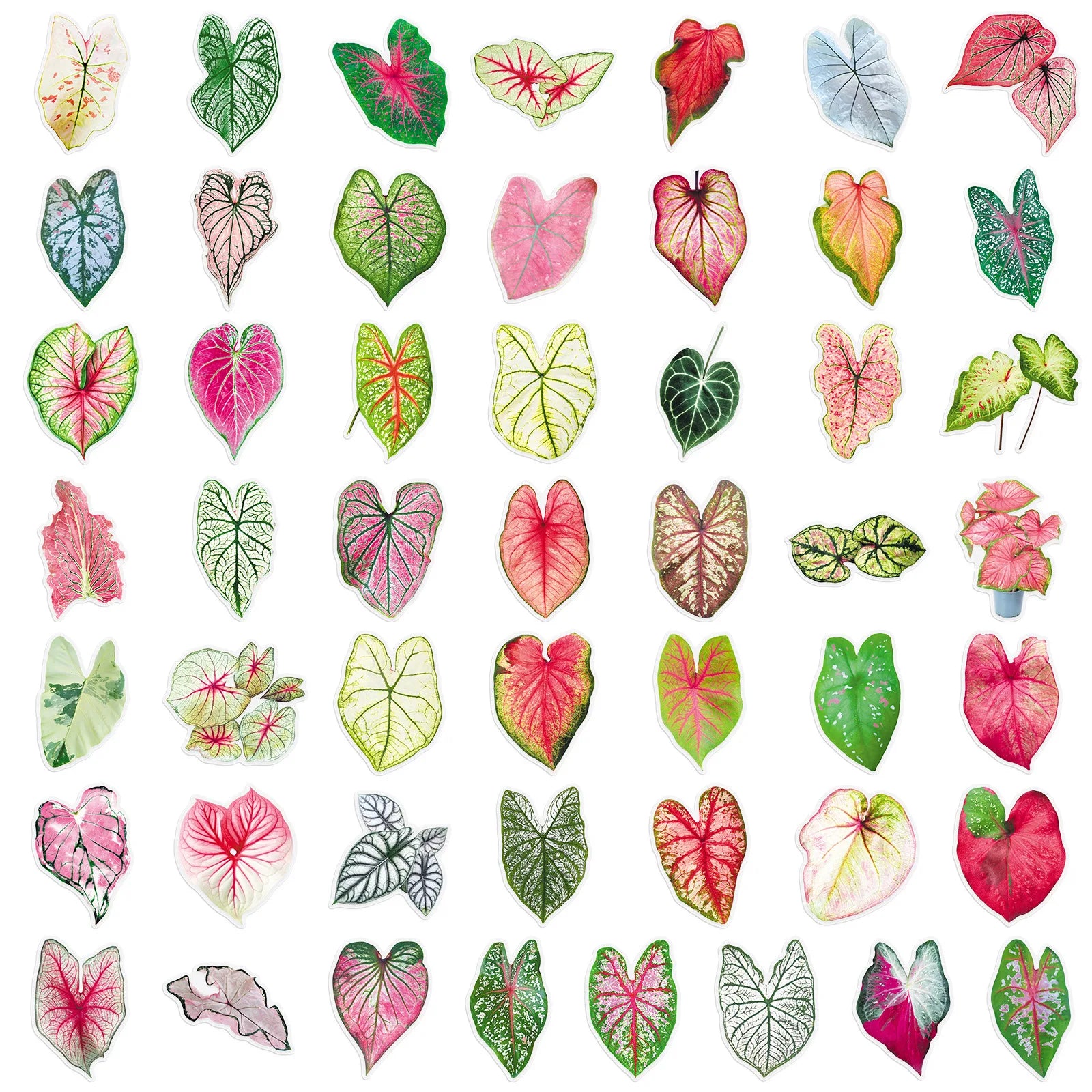 50-Pack Colored Leaf Plant Clear PET Plastic Stickers for Phones Tablets Guitars Helmet Luggage Notebook DIY Decoration