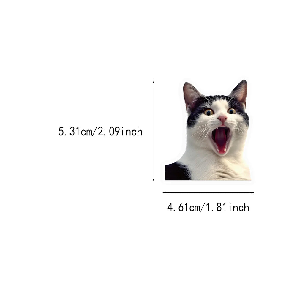 50PCS Cute and Funny Cat Stickers DIY Phone Cases Laptop Refrigerator Stickers Desktop Stickers Waterproof Toy Stickers