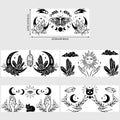 5 sheets Magic Cat UV DTF Glass Cup Wrap Transfer Stickers, DTF Transfer Stickers, Waterproof Wipe-Off Transfer Stickers