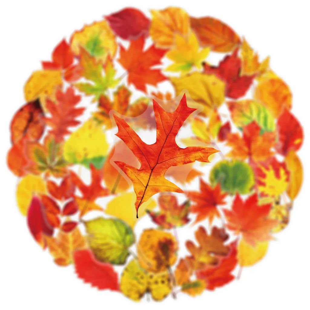 50PCS Plant Leafy Maple Leaf Stickers Transparent PET Waterproof DIY Stationary Notebook Personalized Ins Decor Stickers